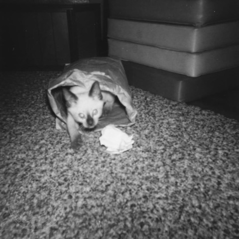 frsfp 0976im b 0006 ep 0009 r